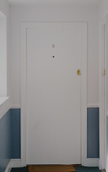 pivot door hinges